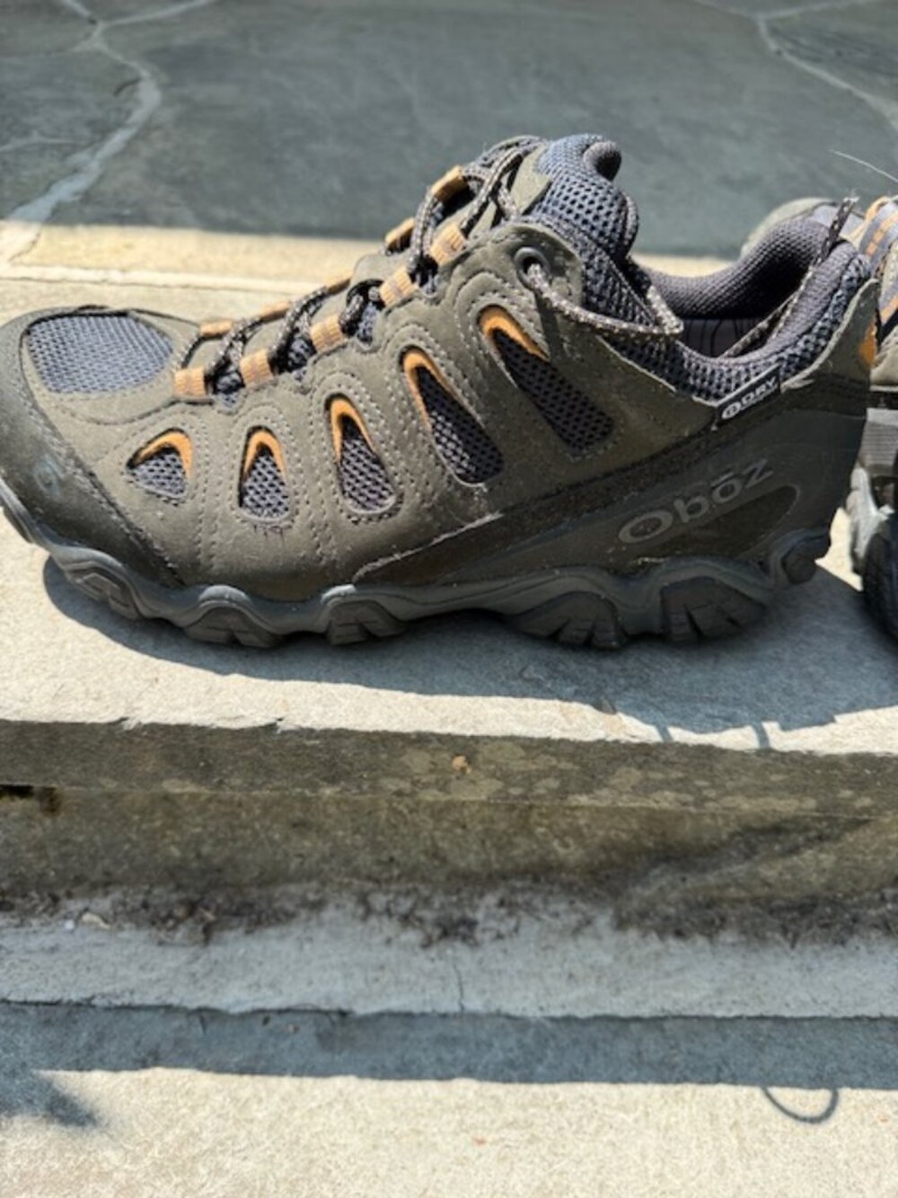 Oboz Sawtooth II Men's Waterproof Hiking Shoe